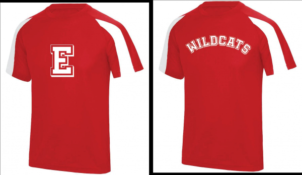 ECC HSM Tee